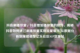 抖音刷播放量，抖音增加播放量的软件，揭秘抖音如何通过刷播放量实现流量爆炸 从数据分析到策略调整亿乐社区SUP货源站