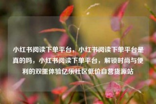 小红书阅读下单平台，小红书阅读下单平台是真的吗，小红书阅读下单平台，解锁时尚与便利的双重体验亿乐社区低价自营货源站