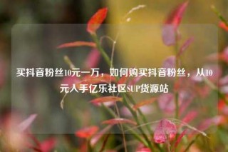 买抖音粉丝10元一万，如何购买抖音粉丝，从10元入手亿乐社区SUP货源站
