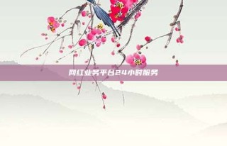 网红业务平台24小时服务