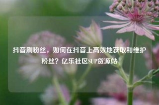 抖音刷粉丝，如何在抖音上高效地获取和维护粉丝？亿乐社区SUP货源站