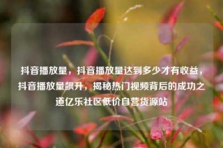 抖音播放量，抖音播放量达到多少才有收益，抖音播放量飙升，揭秘热门视频背后的成功之道亿乐社区低价自营货源站