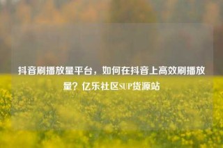 抖音刷播放量平台，如何在抖音上高效刷播放量？亿乐社区SUP货源站
