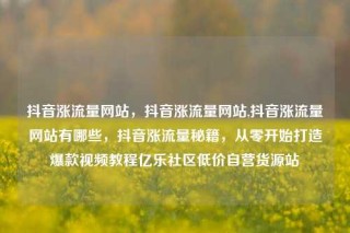 抖音涨流量网站，抖音涨流量网站,抖音涨流量网站有哪些，抖音涨流量秘籍，从零开始打造爆款视频教程亿乐社区低价自营货源站