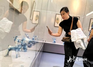 沿黄九省区民间工艺美术精品展在内蒙古美术馆开展