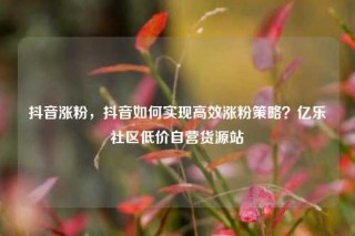 抖音涨粉，抖音如何实现高效涨粉策略？亿乐社区低价自营货源站