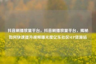 抖音刷播放量平台，抖音刷播放量平台，揭秘如何快速提升视频曝光度亿乐社区SUP货源站