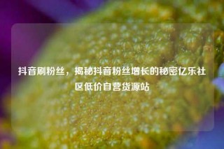 抖音刷粉丝，揭秘抖音粉丝增长的秘密亿乐社区低价自营货源站