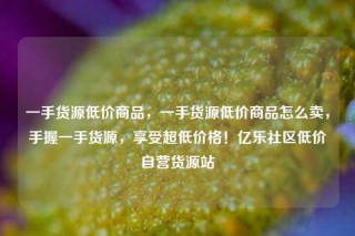 一手货源低价商品，一手货源低价商品怎么卖，手握一手货源，享受超低价格！亿乐社区低价自营货源站