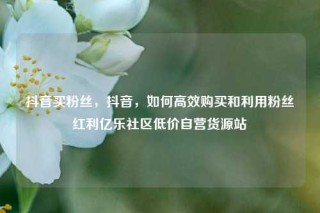 抖音买粉丝，抖音，如何高效购买和利用粉丝红利亿乐社区低价自营货源站