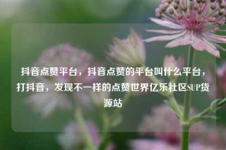 抖音点赞平台，抖音点赞的平台叫什么平台，打抖音，发现不一样的点赞世界亿乐社区SUP货源站