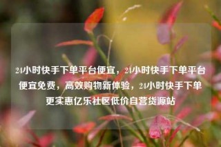 24小时快手下单平台便宜，24小时快手下单平台便宜免费，高效购物新体验，24小时快手下单更实惠亿乐社区低价自营货源站