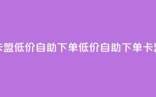 卡盟低价自助下单(低价自助下单卡盟)