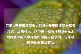联通19元无限流量卡，联通19元无限流量卡套餐介绍，当然可以。以下是一篇关于联通19元无限流量卡的文章标题和简要内容示例。亿乐社区低价自营货源站