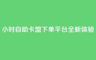 24小时自助卡盟下单平台全新体验