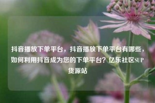 抖音播放下单平台，抖音播放下单平台有哪些，如何利用抖音成为您的下单平台？亿乐社区SUP货源站