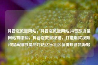 抖音涨流量网站，抖音涨流量网站,抖音涨流量网站有哪些，抖音涨流量秘籍，打造爆款视频和提高播放量的方法亿乐社区低价自营货源站