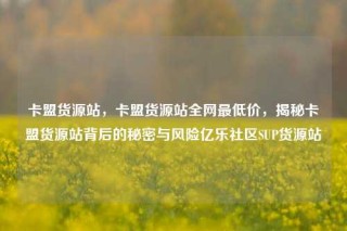 卡盟货源站，卡盟货源站全网最低价，揭秘卡盟货源站背后的秘密与风险亿乐社区SUP货源站