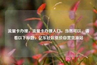 流量卡办理，流量卡办理入口，当然可以，请看以下标题，亿乐社区低价自营货源站