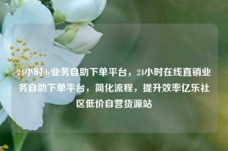 24小时dy业务自助下单平台，24小时在线直销业务自助下单平台，简化流程，提升效率亿乐社区低价自营货源站