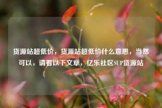 货源站超低价，货源站超低价什么意思，当然可以，请看以下文章，亿乐社区SUP货源站