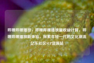 哔哩哔哩播放，哔哩哔哩播放量收益计算，哔哩哔哩播放新体验，探索年轻一代的文化潮流亿乐社区SUP货源站