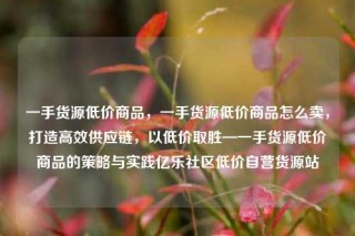一手货源低价商品，一手货源低价商品怎么卖，打造高效供应链，以低价取胜—一手货源低价商品的策略与实践亿乐社区低价自营货源站