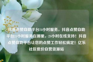 抖音点赞自助平台24小时服务，抖音点赞自助平台24小时服务在哪里，24小时在线支持！抖音点赞自助平台让您的点赞工作轻松搞定！亿乐社区低价自营货源站