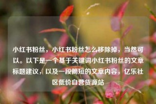 小红书粉丝，小红书粉丝怎么移除掉，当然可以。以下是一个基于关键词小红书粉丝的文章标题建议，以及一段简短的文章内容，亿乐社区低价自营货源站