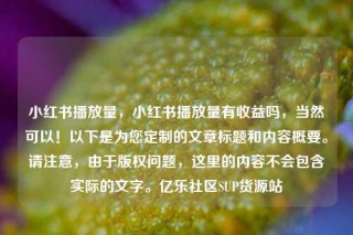 小红书播放量，小红书播放量有收益吗，当然可以！以下是为您定制的文章标题和内容概要。请注意，由于版权问题，这里的内容不会包含实际的文字。亿乐社区SUP货源站