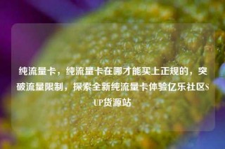纯流量卡，纯流量卡在哪才能买上正规的，突破流量限制，探索全新纯流量卡体验亿乐社区SUP货源站