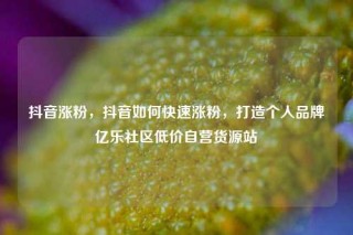 抖音涨粉，抖音如何快速涨粉，打造个人品牌亿乐社区低价自营货源站