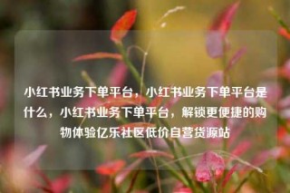 小红书业务下单平台，小红书业务下单平台是什么，小红书业务下单平台，解锁更便捷的购物体验亿乐社区低价自营货源站