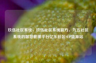 玖伍社区系统，玖伍社区系统官方，九五社区系统的智慧管理平台亿乐社区SUP货源站