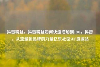 抖音粉丝，抖音粉丝如何快速增加到1000，抖音，从流量到品牌的力量亿乐社区SUP货源站