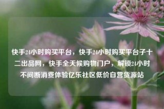 快手24小时购买平台，快手24小时购买平台子十二出品网，快手全天候购物门户，解锁24小时不间断消费体验亿乐社区低价自营货源站
