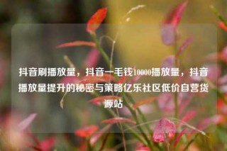 抖音刷播放量，抖音一毛钱10000播放量，抖音播放量提升的秘密与策略亿乐社区低价自营货源站
