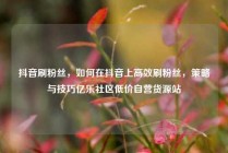 抖音刷粉丝，如何在抖音上高效刷粉丝，策略与技巧亿乐社区低价自营货源站