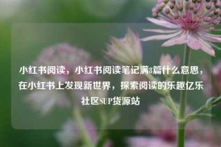 小红书阅读，小红书阅读笔记满8篇什么意思，在小红书上发现新世界，探索阅读的乐趣亿乐社区SUP货源站