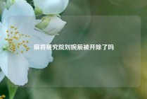 麻将研究院刘婉辰被开除了吗