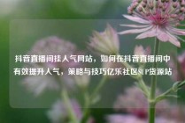 抖音直播间挂人气网站，如何在抖音直播间中有效提升人气，策略与技巧亿乐社区SUP货源站