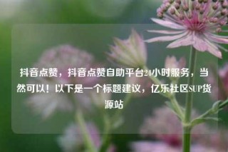 抖音点赞，抖音点赞自助平台24小时服务，当然可以！以下是一个标题建议，亿乐社区SUP货源站