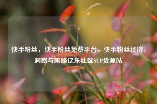 快手粉丝，快手粉丝免费平台，快手粉丝经济，洞察与策略亿乐社区SUP货源站