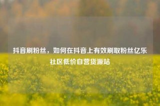 抖音刷粉丝，如何在抖音上有效刷取粉丝亿乐社区低价自营货源站