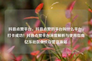 抖音点赞平台，抖音点赞的平台叫什么平台，打卡成功！抖音点赞平台深度解析与使用指南亿乐社区低价自营货源站