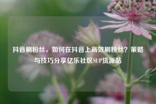 抖音刷粉丝，如何在抖音上高效刷粉丝？策略与技巧分享亿乐社区SUP货源站