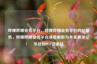 哔哩哔哩业务平台，哔哩哔哩业务平台网站服务，哔哩哔哩业务平台深度解析与未来展望亿乐社区SUP货源站