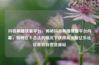 抖音刷播放量平台，揭秘抖音刷播放量平台内幕，如何在不合法的情况下获得高流量亿乐社区低价自营货源站