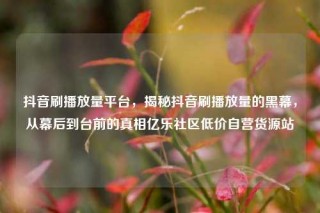抖音刷播放量平台，揭秘抖音刷播放量的黑幕，从幕后到台前的真相亿乐社区低价自营货源站