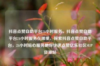 抖音点赞自助平台24小时服务，抖音点赞自助平台24小时服务在哪里，探索抖音点赞自助平台，24小时贴心服务助你快速点赞亿乐社区SUP货源站